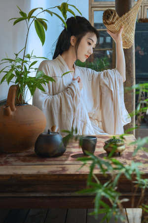 沉香如屑免费版在线观看